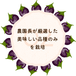 安心 安全 新鮮な千葉の野菜なら池田農園