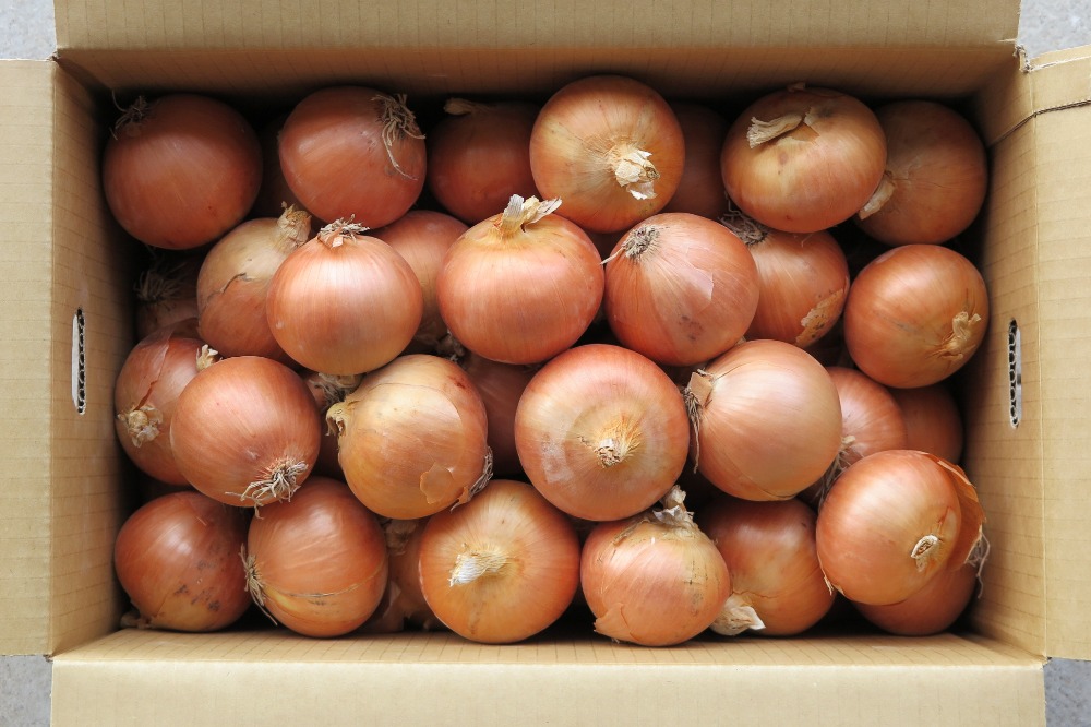 池田農園の野菜を使用しませんか?